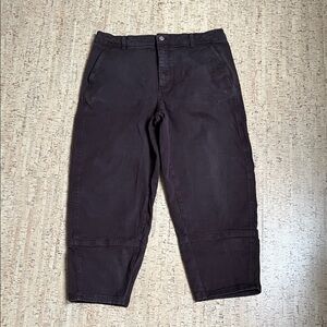 Everlane Woman’s Utility Barrel Pant 16R